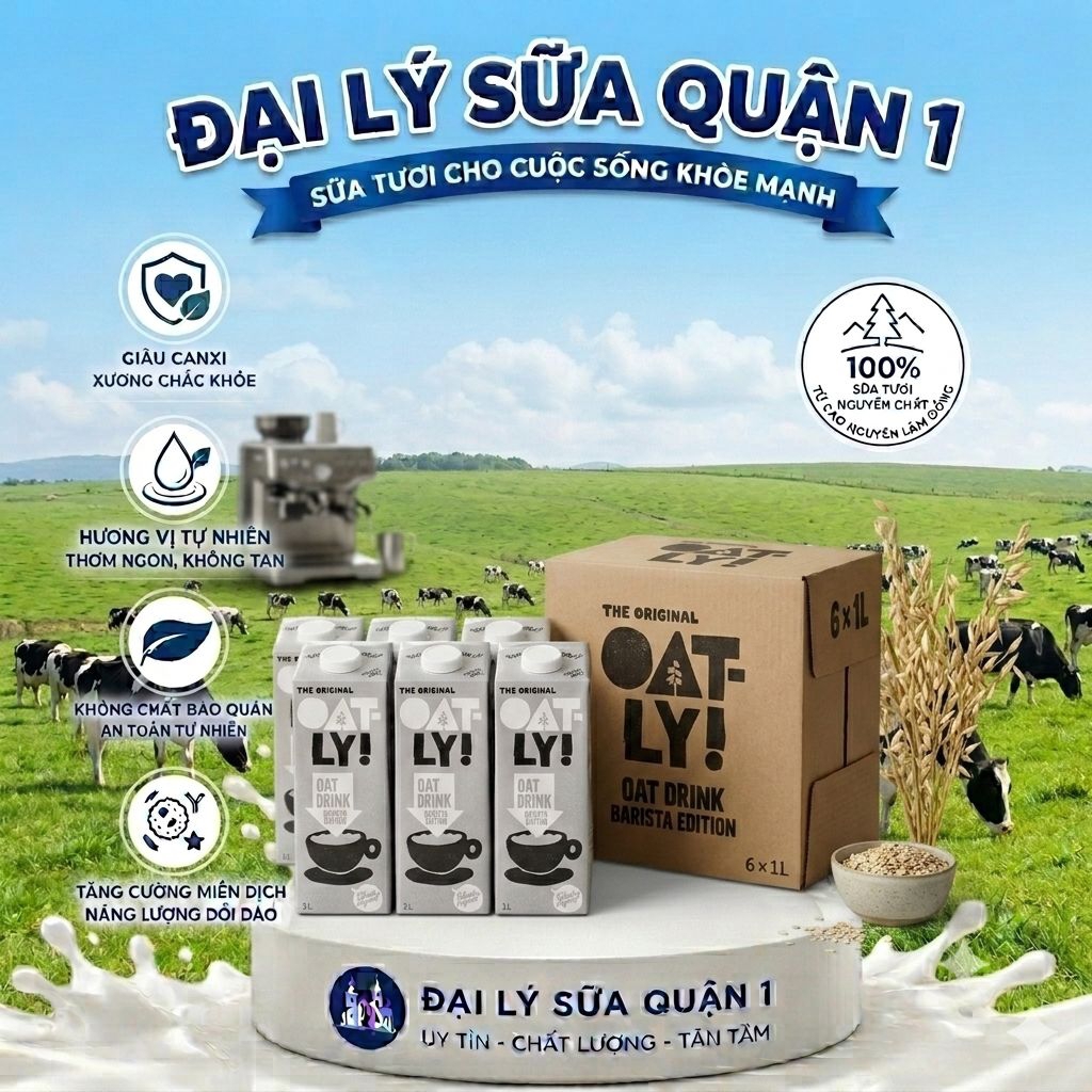 Thùng - Sữa yến mạch Oatly 1L (6 hộp)