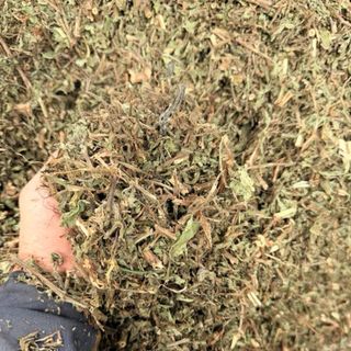 Cây Rau Mương Khô 1kg Loại 1 – Hàng Mới Đẹp, Sạch, Thảo Mộc Tự Nhiên, Dễ Pha Trà