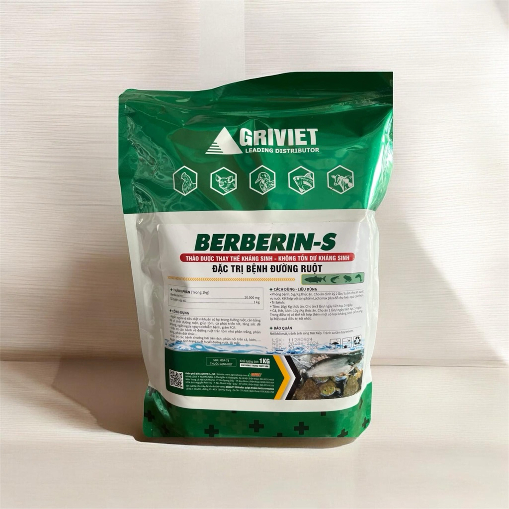 BERBERIN PLUS