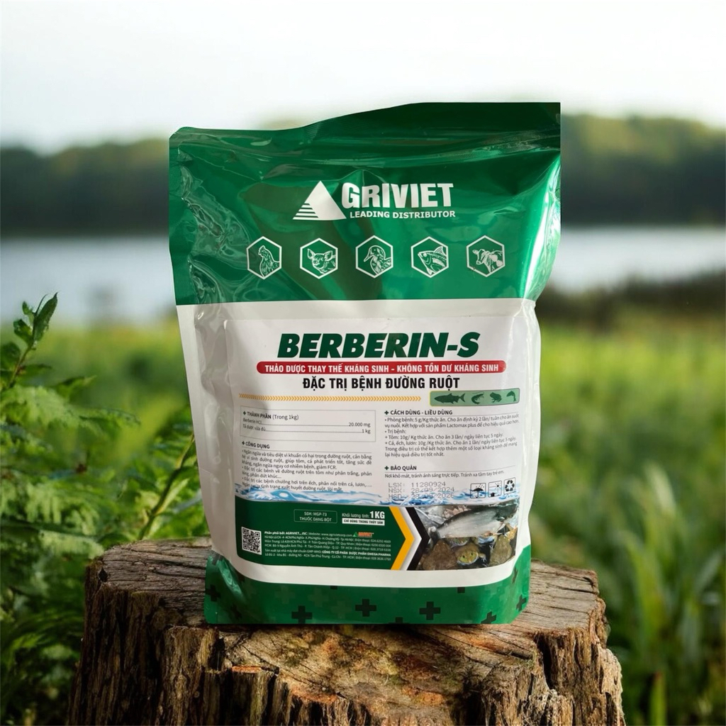 Berberin Plus