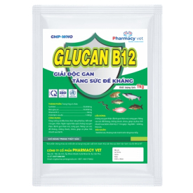 GLUCAN B12 - Tăng cường và điều hòa chức năng gan