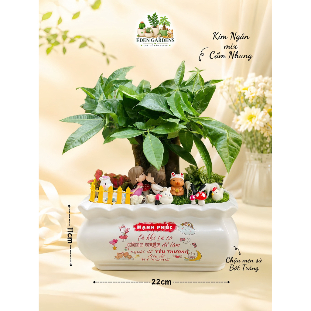 Chậu Kim Ngân EDEN Gardens decor Khu Vườn Hạnh Phúc chậu sứ 22x11cm Quà tặng SINH NHẬT - KỶ NIỆM