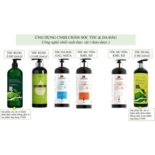 DẦU GỘI VỎ BƯỞI MEDIWORLD chăm sóc tóc suôn mượt