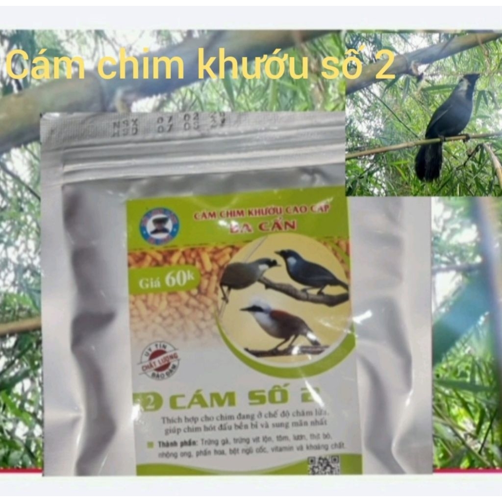 Cám chim khướu số 2 "lên lửa hiệu quả"
