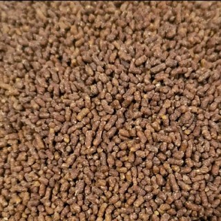 Cám chim khướu số 2 "lên lửa hiệu quả"