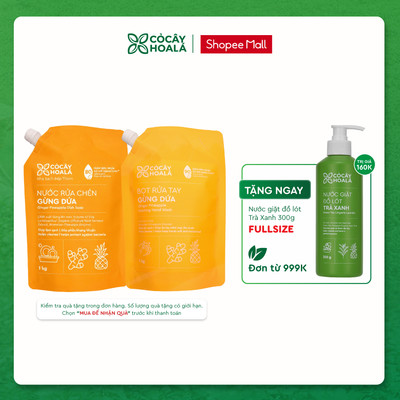Combo Túi Refill Nước Rửa Chén Gừng Dứa 1kg+ Túi Refill Bọt rửa tay Gừng Dứa 1kg Cỏ Cây Hoa Lá