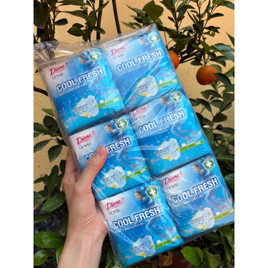 (Siêu tiết kiệm ) Lốc 6 gói( 48 miếng) Băng Vệ Sinh Dianna sensi Cool Fresh 23cm siêu Mỏng có cánh m