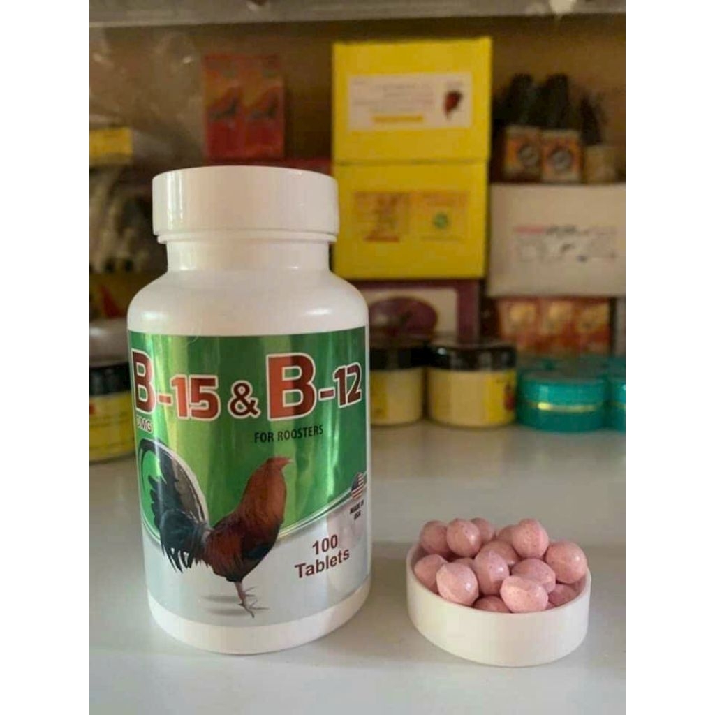 B15 b12 cho gà