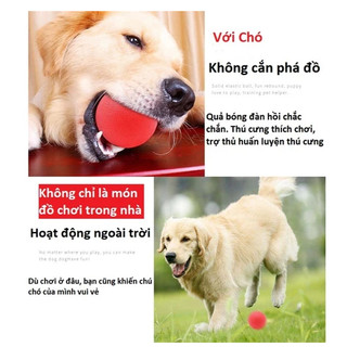 Bóng Tập Cắn Cao Su Có Dây Cho Chó - Bóng Cao Su Siêu Bền Đặc Ruột Cocopetshop