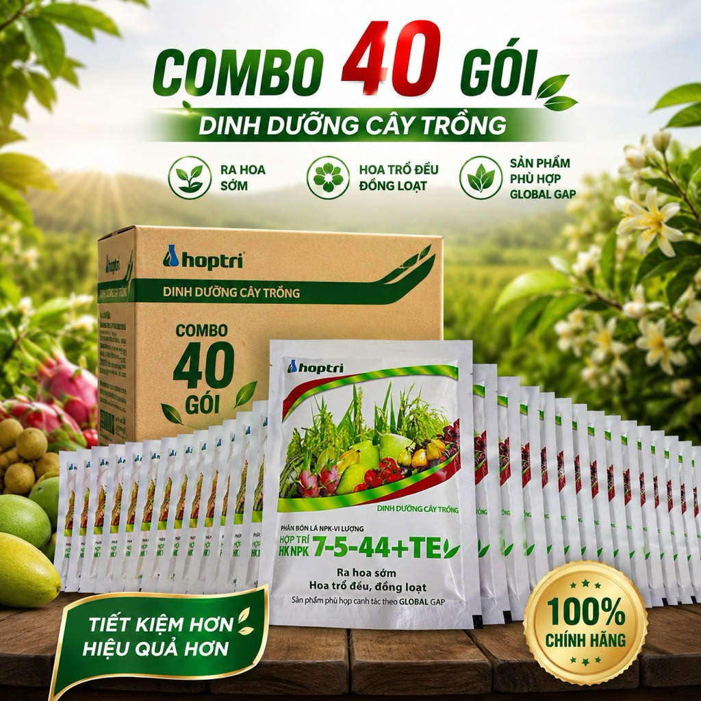 Combo 40 gói 7-5-44 cty hợp trí sumit gói 250g