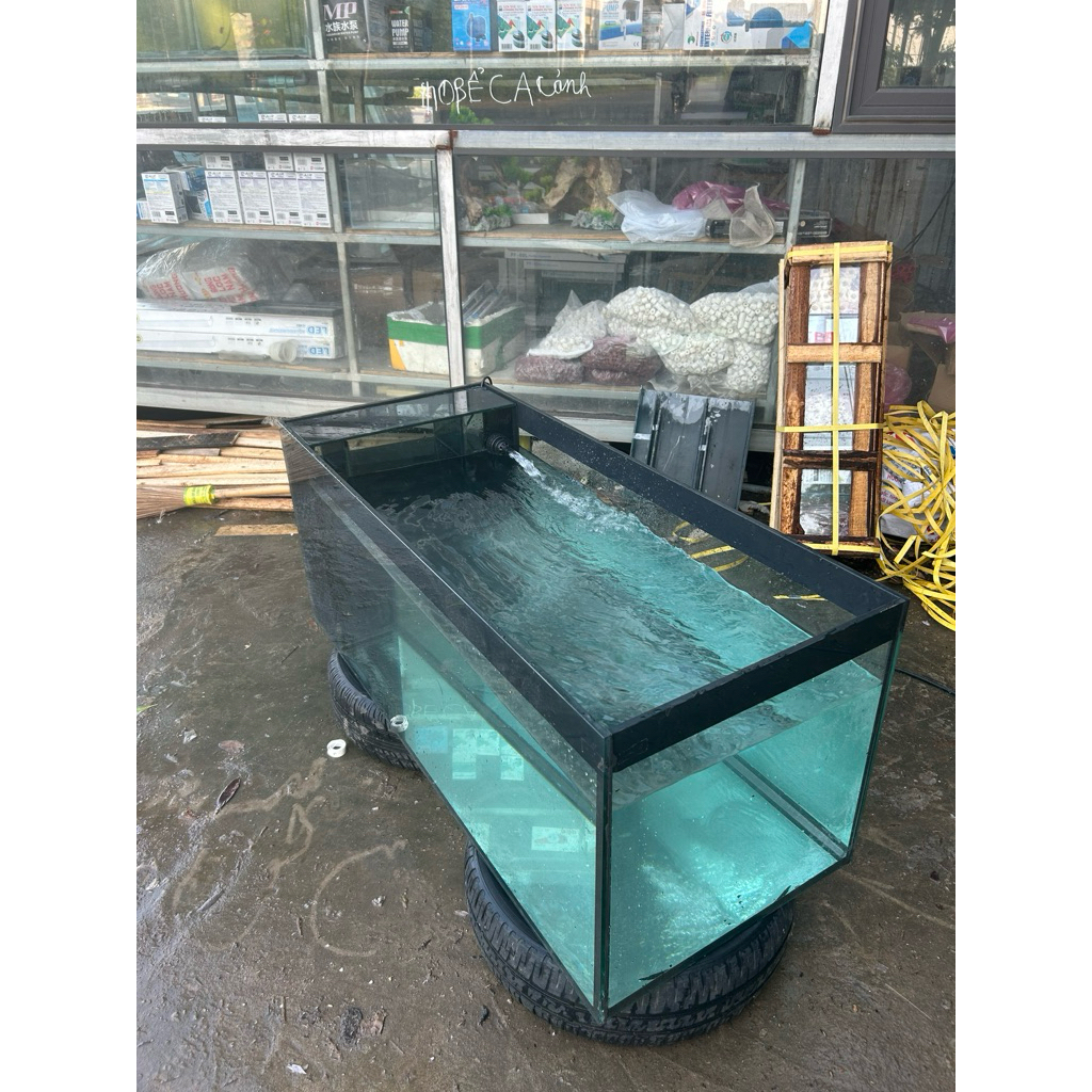 Trọn bộ bể cá lọc vách sau, 60x40x40, kính 8, giao hàng toàn quốc