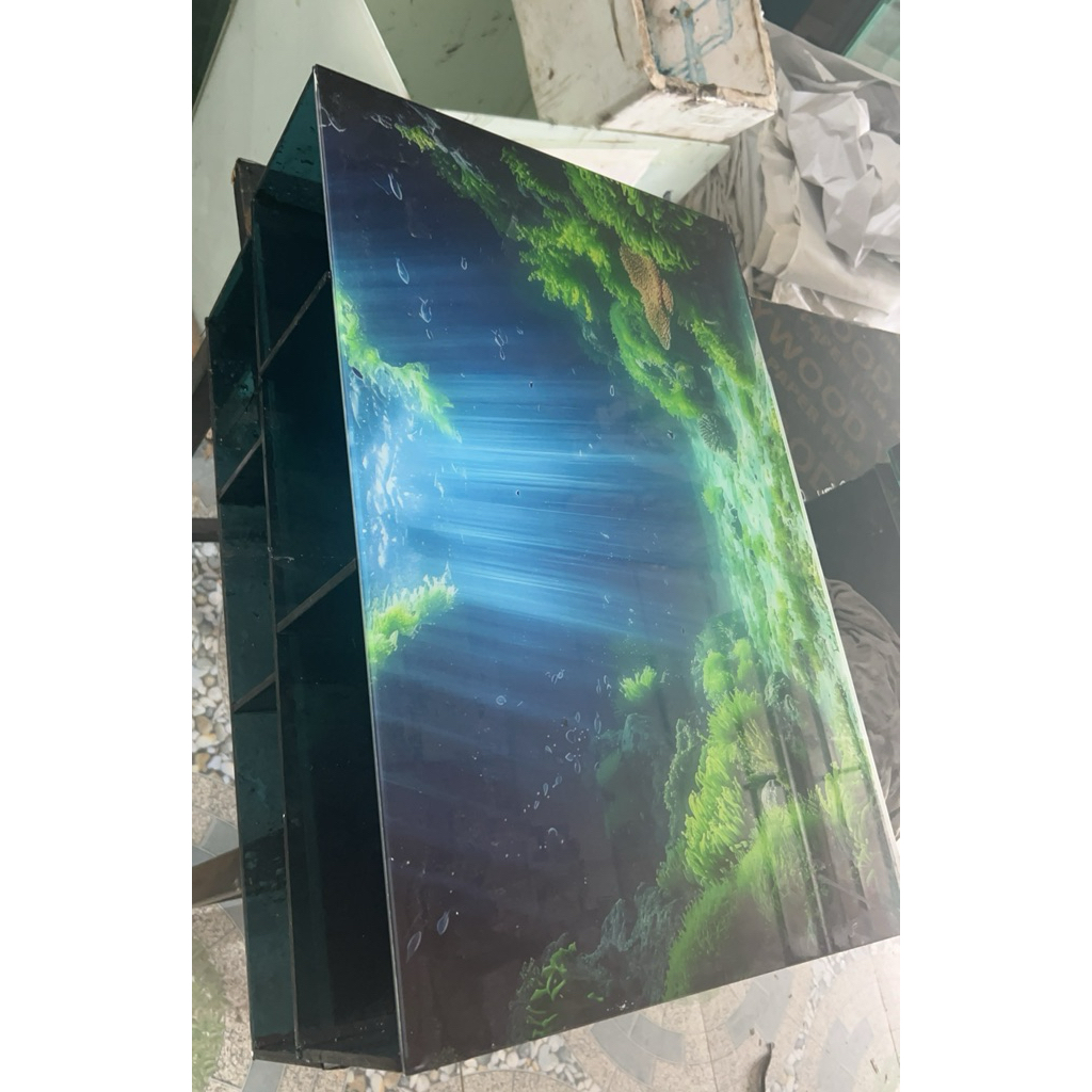 Bể lọc vách sau 70x40x40, kính 8ly, giao hàng toàn quốc
