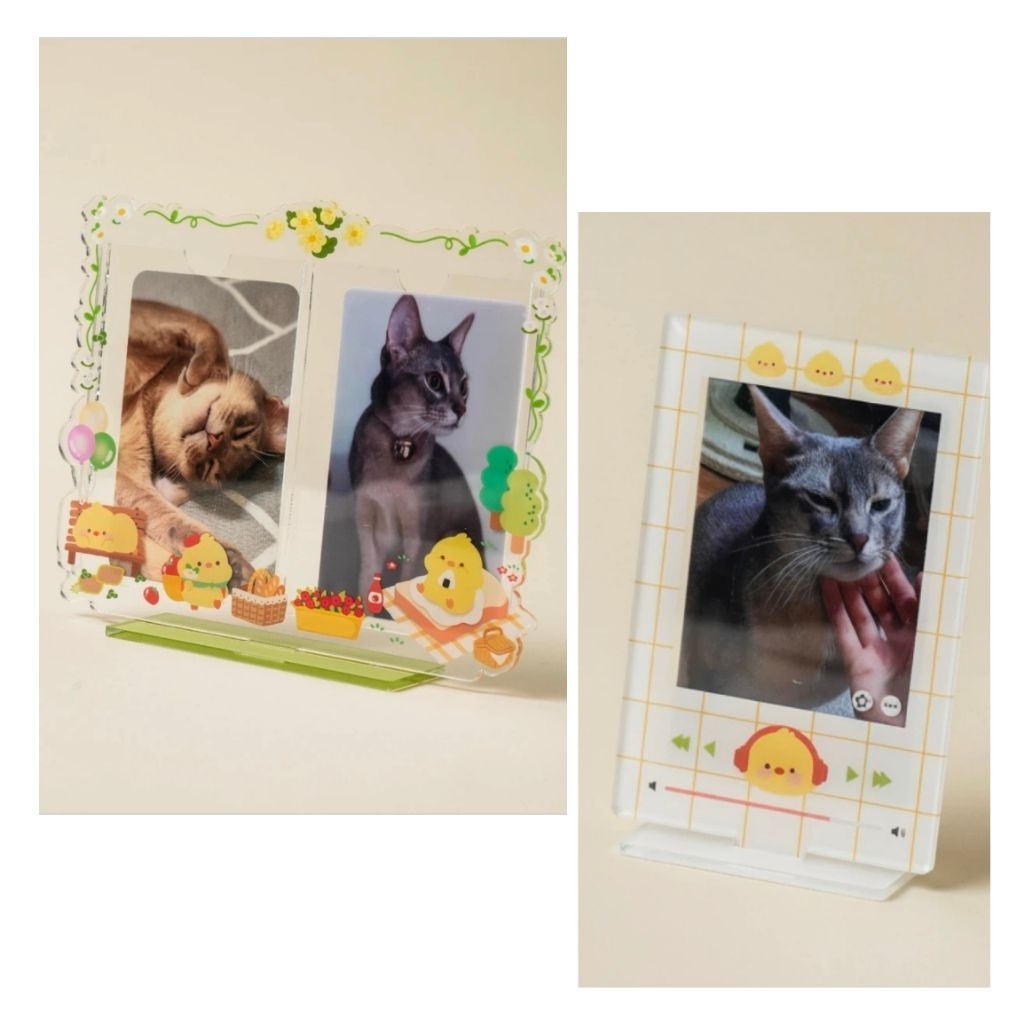 Set Khung ảnh SPRING PICNIC - Daiso Hàn Quôc