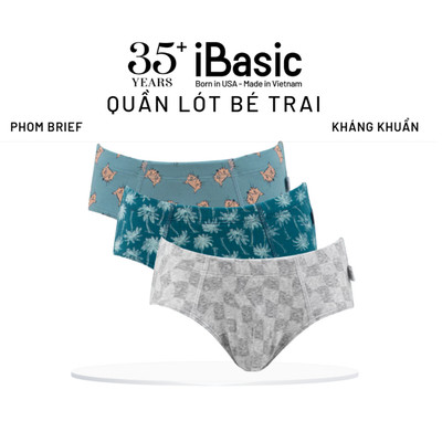 Combo 3 Quần lót bé trai iBasic phom brief tam giác cotton USA kháng khuẩn PANB028