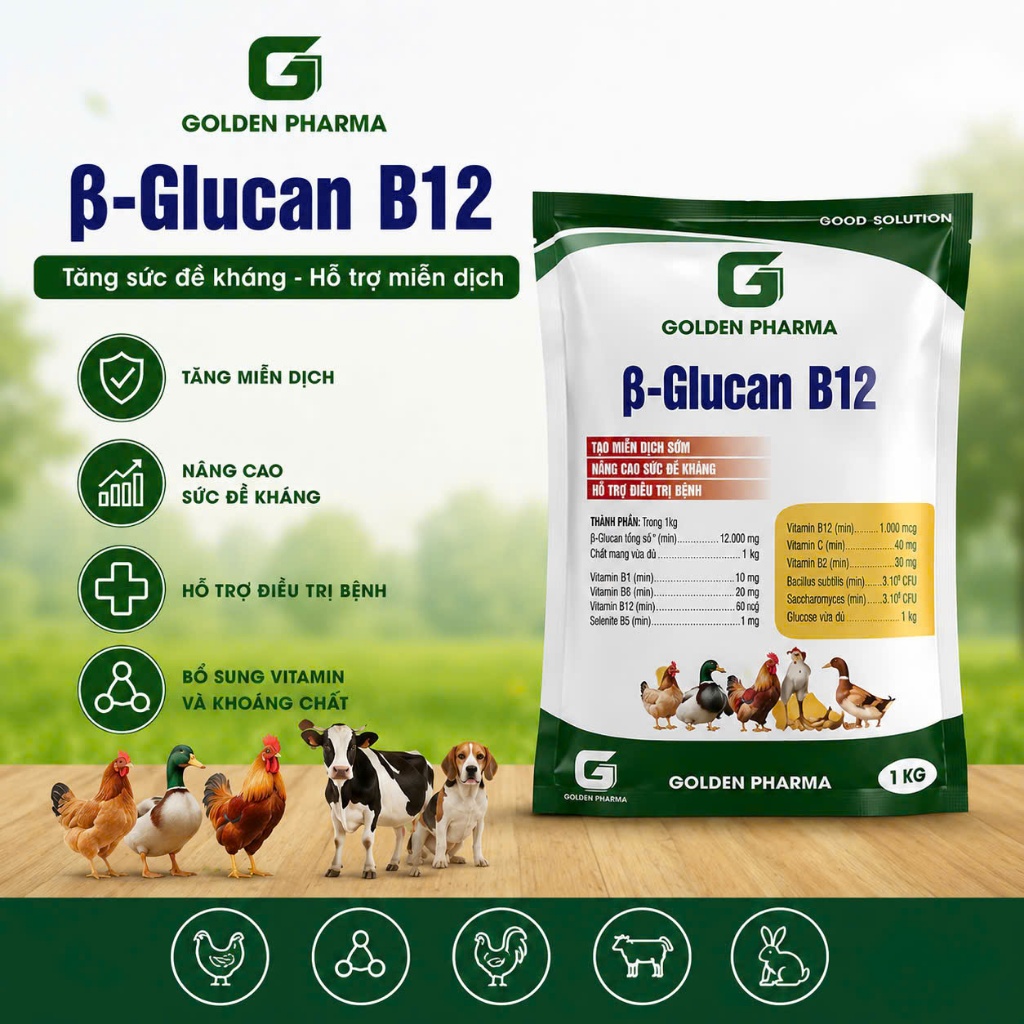 β-Glucan B12 | Nâng Cao Sức Đề Kháng, Giảm Stress, Hỗ Trợ Phục Hồi Vật Nuôi