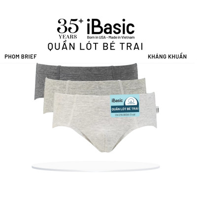 Pack 3 quần lót tam giác cho bé trai iBasic cotton USA 4-12 tuổi PANB029-PA3