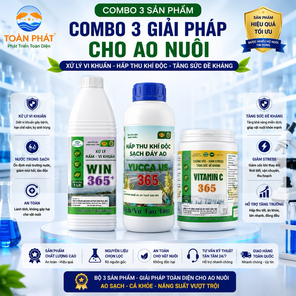 COMBO GIẢI PHÁP CHO AO NUÔI - Xử lý vi khuẩn,Hấp thu khí độc,Tăng sức đề kháng ( Win 365-VitC 365-Yu