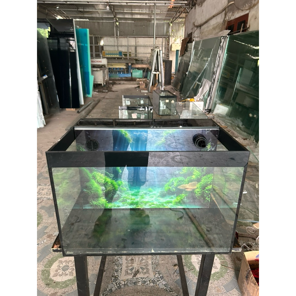 bể lọc vách lưng, 70x40x40, kính 8ly, giao hàng toàn quốc