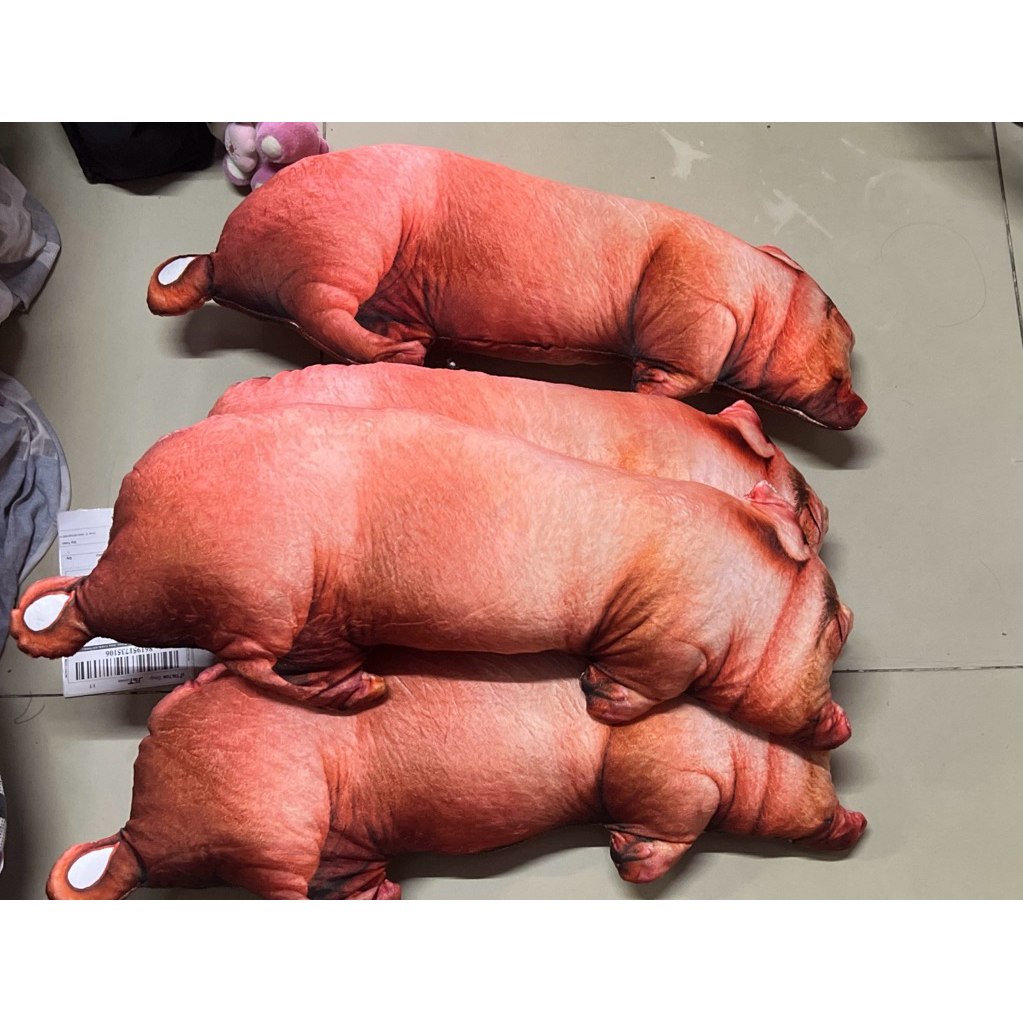 🐷 🐽 HEO BÔNG IN 3D – NHÌN NHƯ HEO THẬT, ÔM THÌ MỀM HƠN NGƯỜI YÊU 😂💕