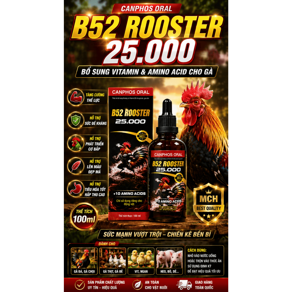 B52 Rooster 25.000 | Bổ Sung Vitamin Amino Acid cho gà, hỗ trợ ăn khỏe tăng thể trạng , lông bóng mư
