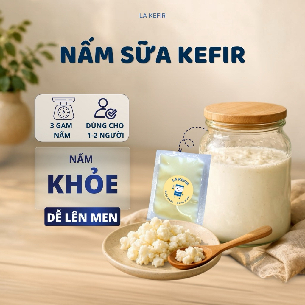 Nấm Sữa Kefir Tươi Làm Sữa Chua Kefir Tại Nhà | Nấm Khỏe, Tặng Hướng Dẫn Chi Tiết
