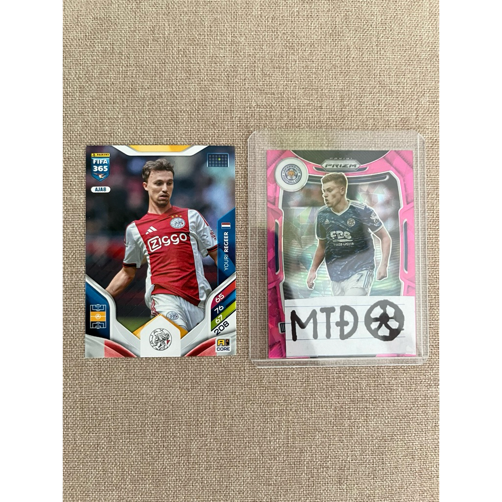 Thẻ Panini Fifa 365 - Youri Regeer