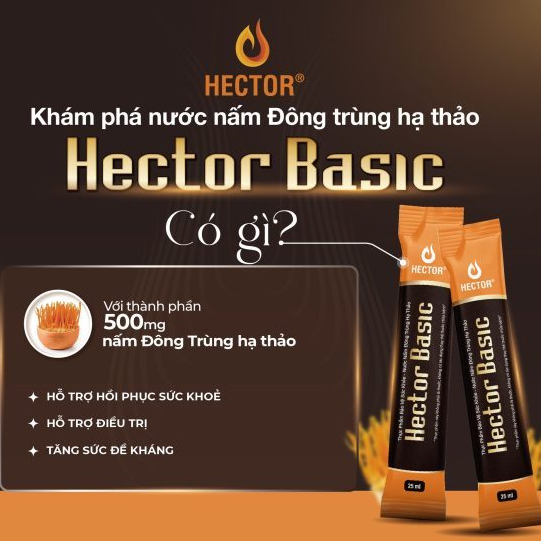 Nước Nấm Đông Trùng Hạ Thảo Hector Basic 250ml (10 Túi x 25ml) Chính Hãng Thức Uống Dinh Dưỡng