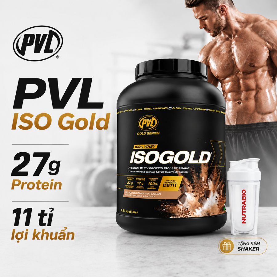 Bột tăng cơ Whey Protein PVL ISO Gold - Premium Whey Protein With Probiotic hỗ trợ tiêu hóa