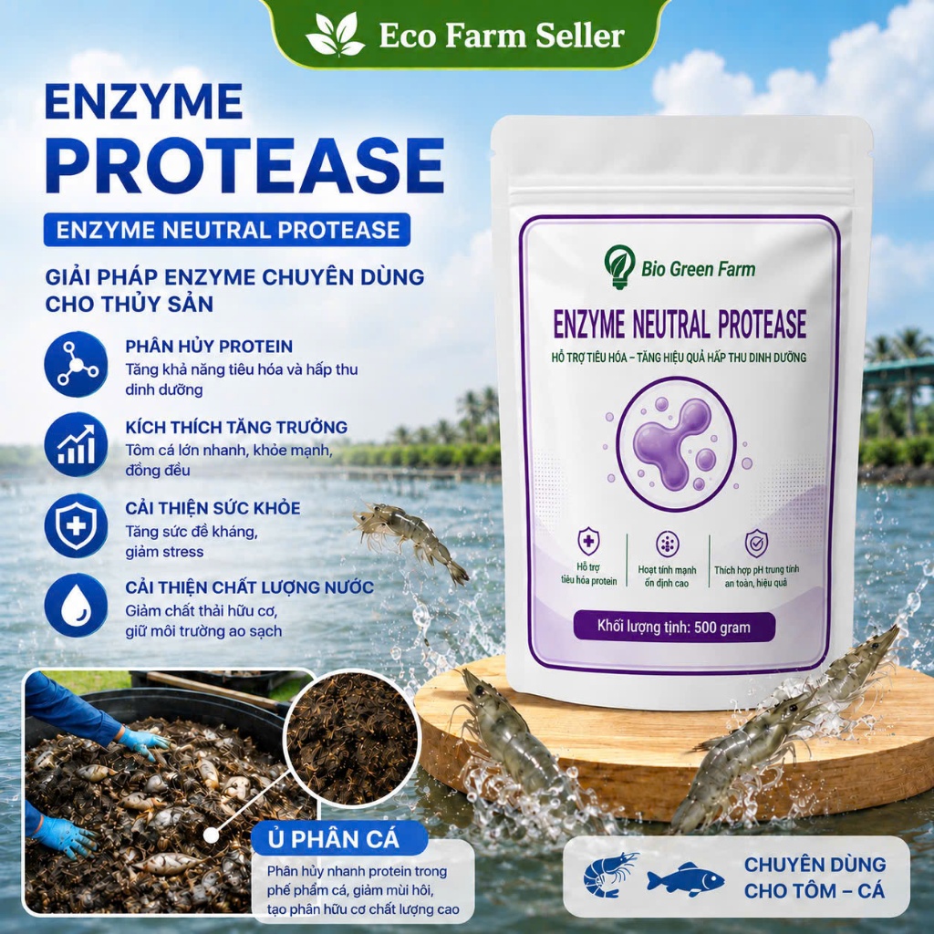 Gói 500G Enzyme Protease Men Ủ Phân Cá, Trộn Thức Ăn, Xử Lý Nước