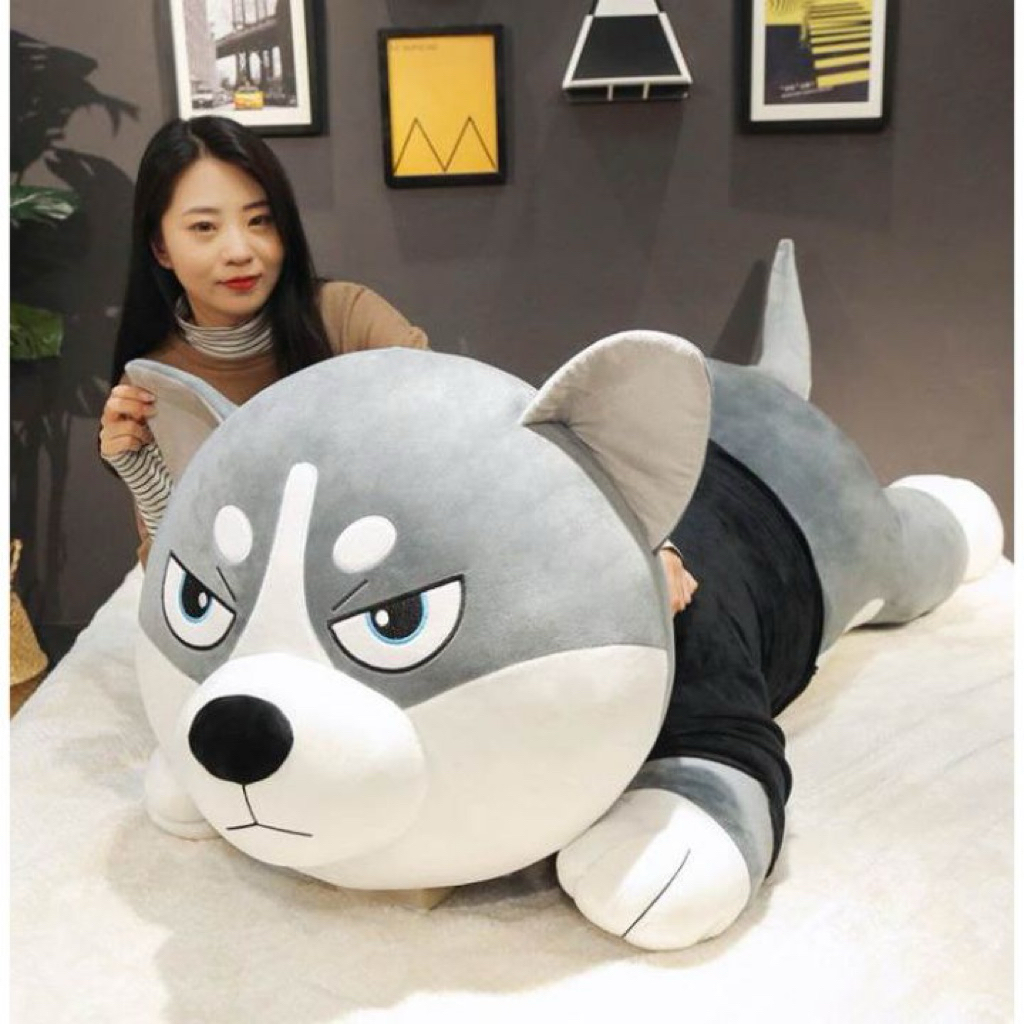 Gấu Bông Chó Husky Khổng Lồ , Thú Nhồi Bông Chó Husky Cao Cấp, Gối Ôm Husky