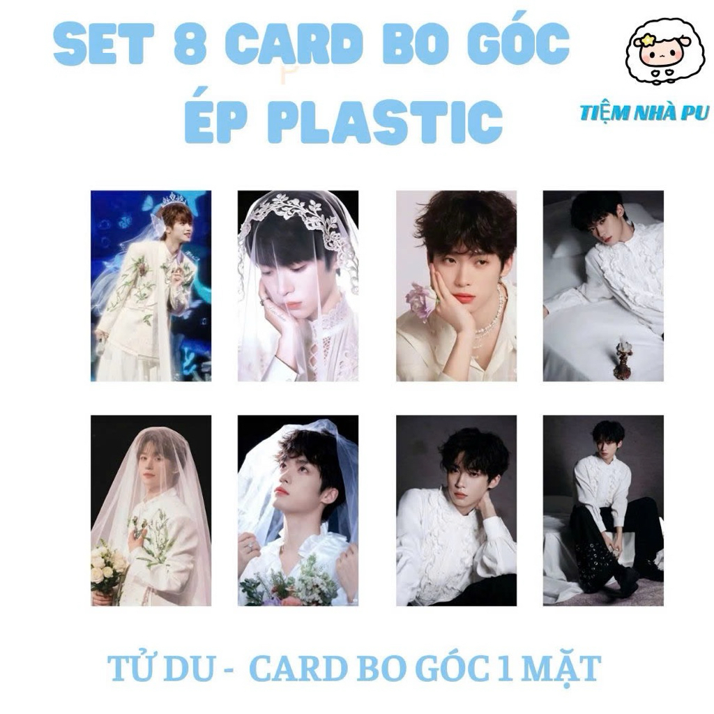 [TỬ DU] SET 8 CARD BO GÓC TỬ DU - CARD BO GÓC 1 MẶT