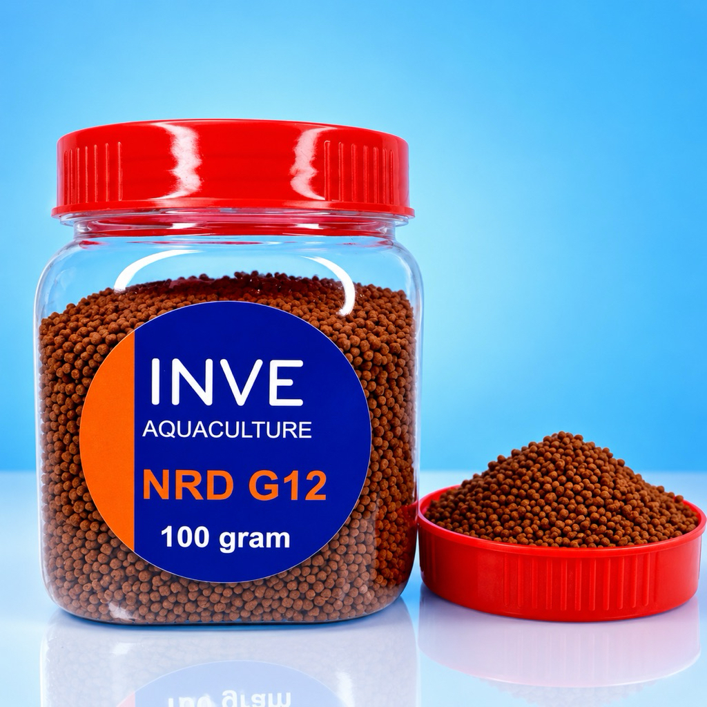 CÁM THÁI INVE NRD G12 – THỨC ĂN CAO CẤP GIÚP CÁ LỚN THẦN TỐC & LÊN MÀU ĐẸP