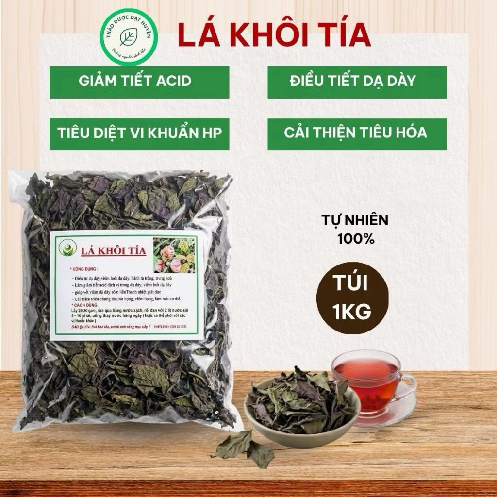 Lá Khôi Tía Khô 1Kg | Lá Khôi Rừng Sấy Khô | Thảo Dược Đạt Huyền