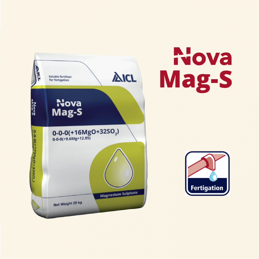 Bao 25kg Muối Epsom MgSO4 tinh khiết 99% - nhập khẩu ICL Israel dùng để tắm, ngâm chân, tưới cây.