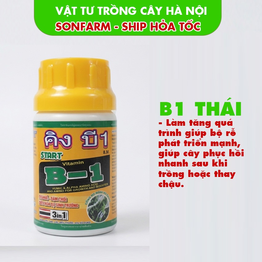 lọ Vitamin B1,b1 thái màu da cam, giúp kích rễ tạo mầm cho cây, cây sinh trưởng tốt.