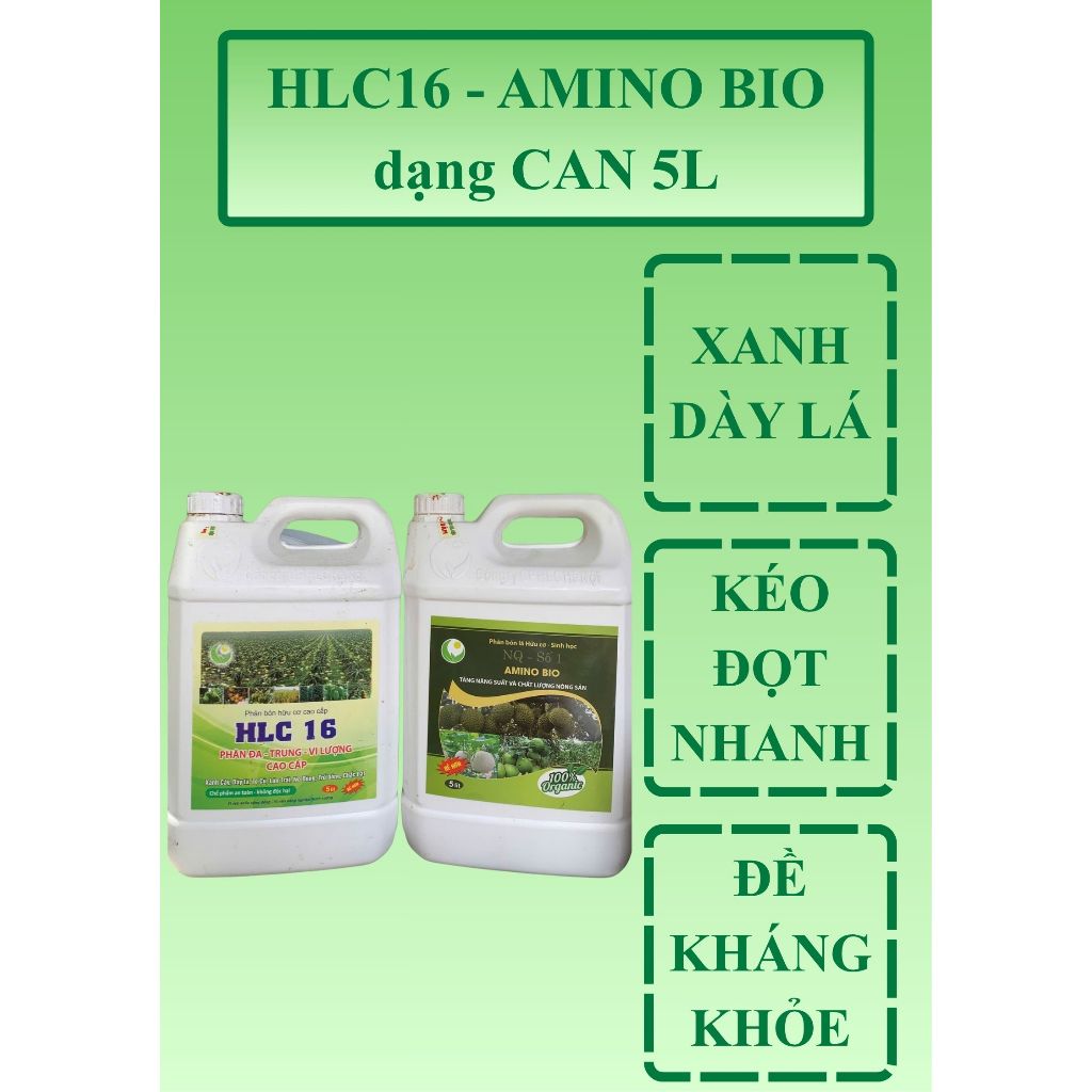 Bộ đôi Dinh dưỡng hữu cơ Tổng hợp HLC16 và AMINO dạng CAN 5L, Bung chồi, bật đọt, Xanh dày mướt lá