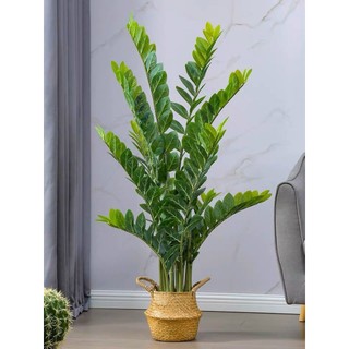 Giỏ cói đựng đồ, trồng cây cảnh trang trí nhà cửa nội thất siêu đẹp.
