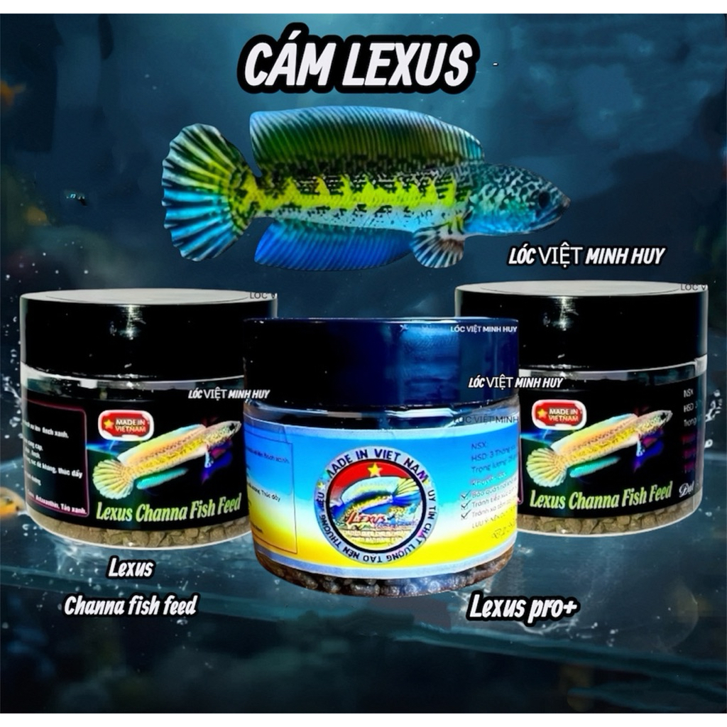 Cám lexus channa fish feed-lexus pro+ Thức ăn lóc cảnh