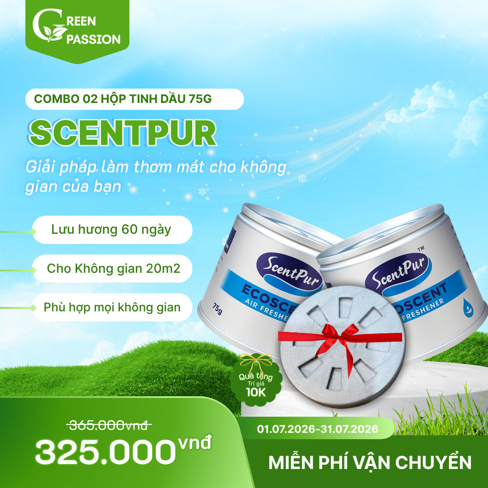 COMBO 2 Hộp ScentPur 75g thơm lâu, thanh lọc không khí - Hương thơm như Khách sạn, Cinema CGV