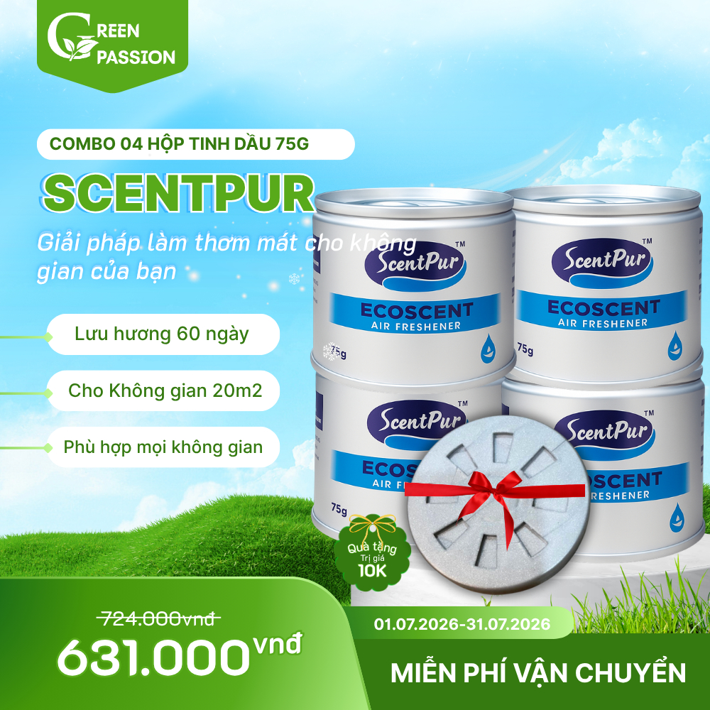 COMBO 04 Tinh dầu ScentPur 75g thơm lâu, thanh lọc không khí - Hương thơm như Khách sạn, Cinema CGV
