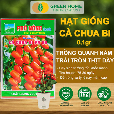 Hạt Giống Cà Chua Bi Lùn Lai F1 GreenHome, Gói 0,1gr, Dễ Trồng Quanh Năm, Trồng Chậu T41