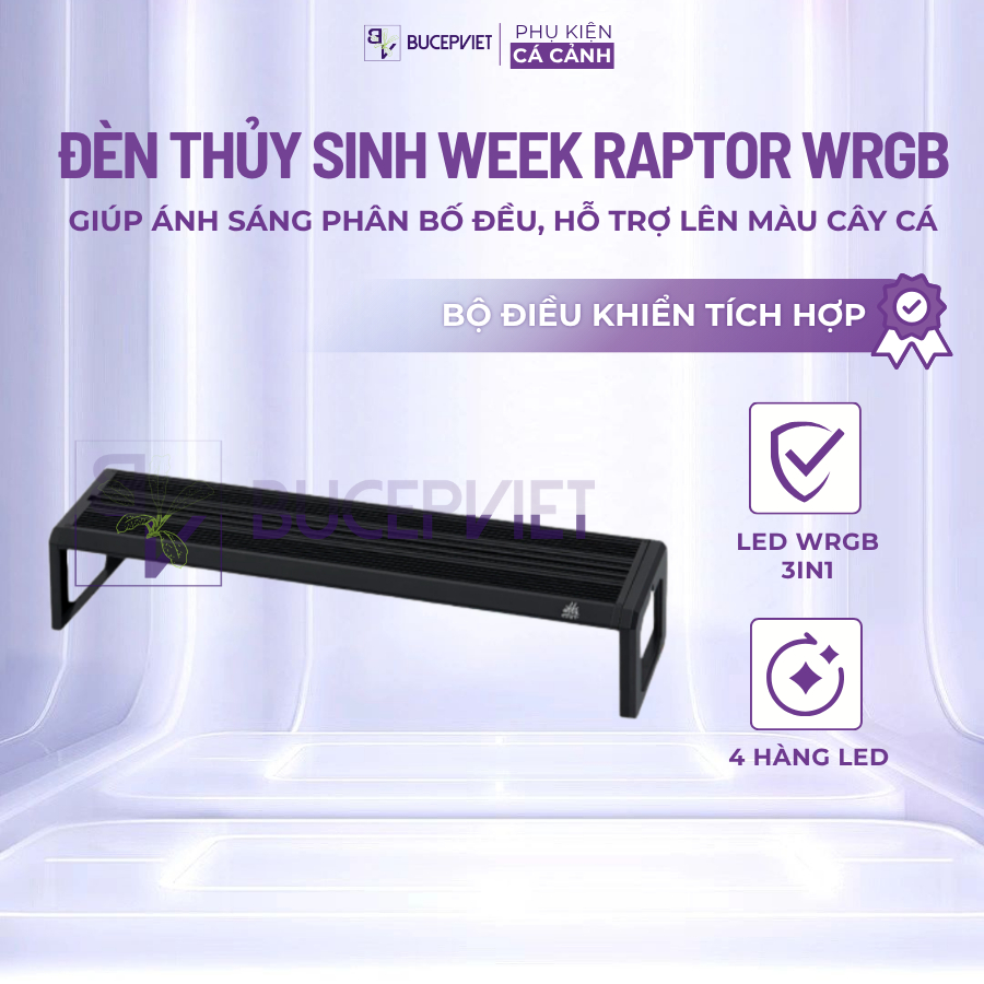 Đèn thủy sinh Week Raptor WRGB Ver 3.0- Đèn WRGB 4 hàng LED, hẹn giờ tích hợp, lên màu cây và cá đẹp