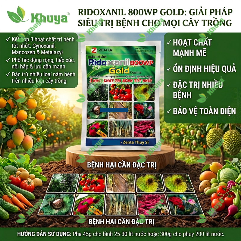 Thuốc trừ bệnh Ridoxanil 800WP Gold (gói 500gr) Cymoxanil - Mancozeb - Metalaxyl