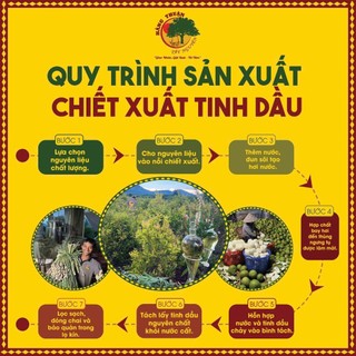 Tinh Dầu Sả Nguyên Chất 20ml -100ml