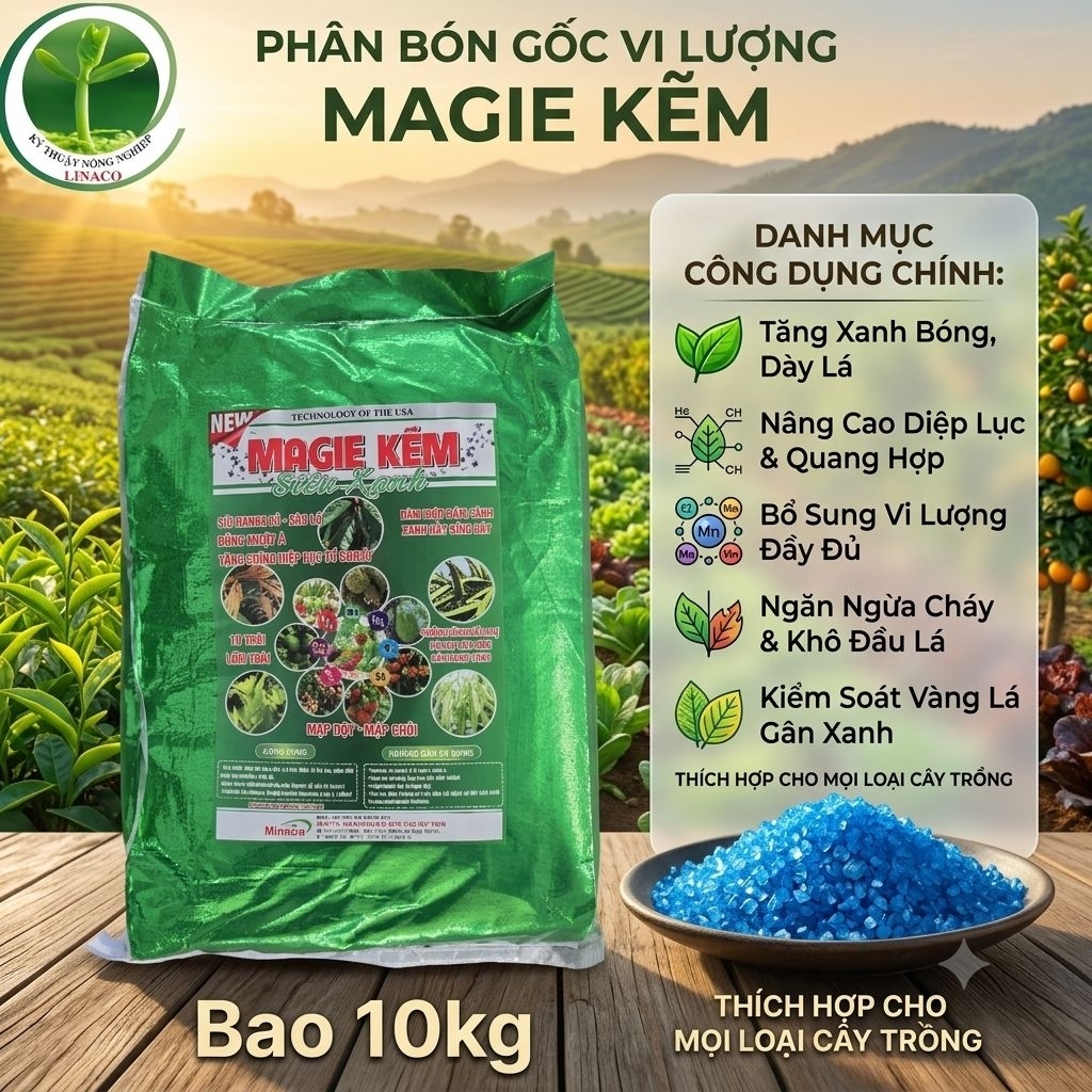 Phân bón vi lượng MAGIE- kẽm giúp xanh lá dày lá tăng dịp lục quang hợp khỏe cây bao 10kg