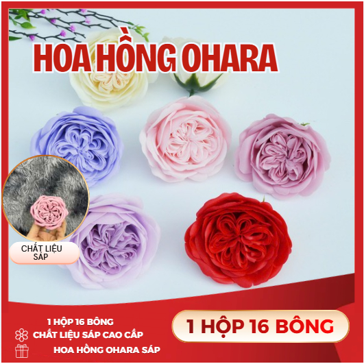 Combo 5 bông Hoa hồng ohara cao cấp