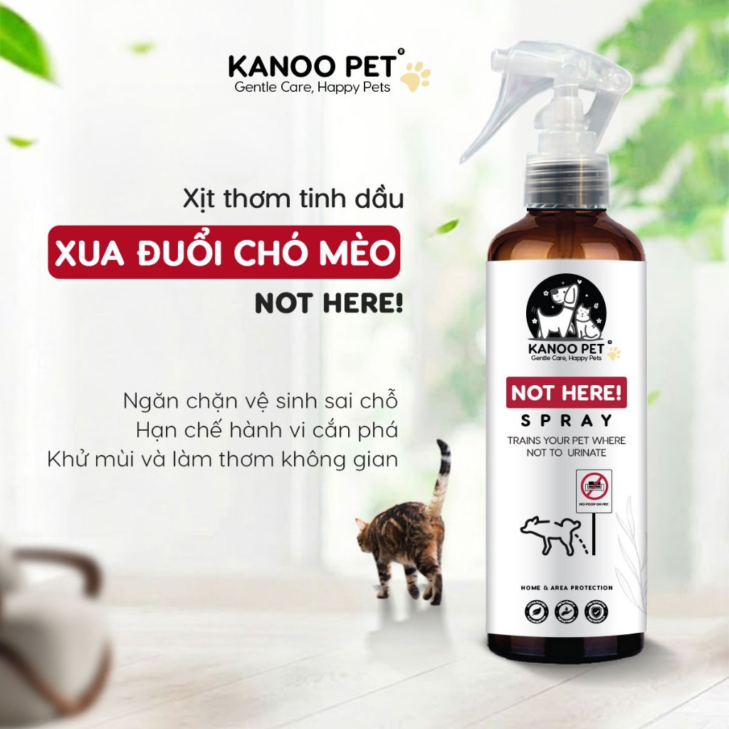 Bình xịt phòng tinh dầu xua đuổi chó mèo, ngăn tè bậy, cắn phá Kanoo Pet 260ml