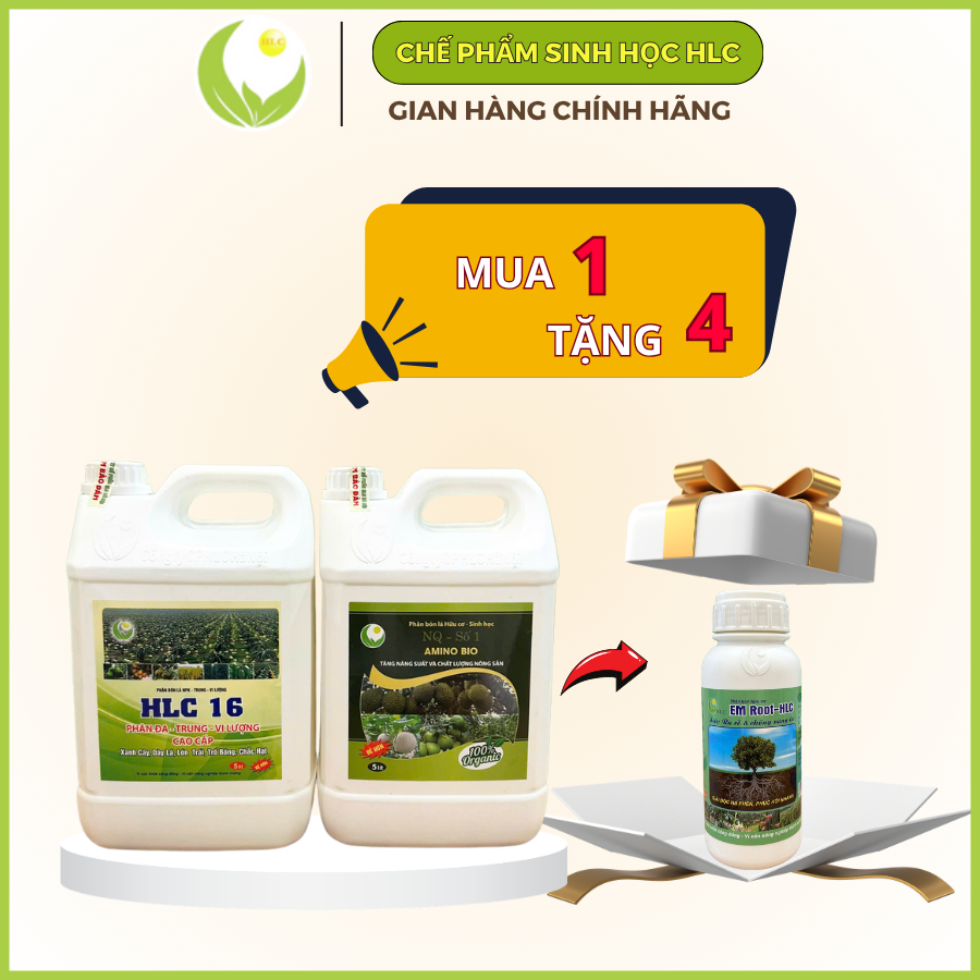 Bộ đôi Can 5L PHÂN BÓN HLC 16 và AMINO bật chồi vọt đọt mập cơi xanh dày lá