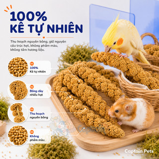 Kê chùm cho Hamster Chim Vẹt