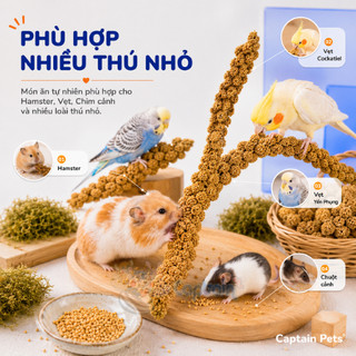 Kê chùm cho Hamster Chim Vẹt